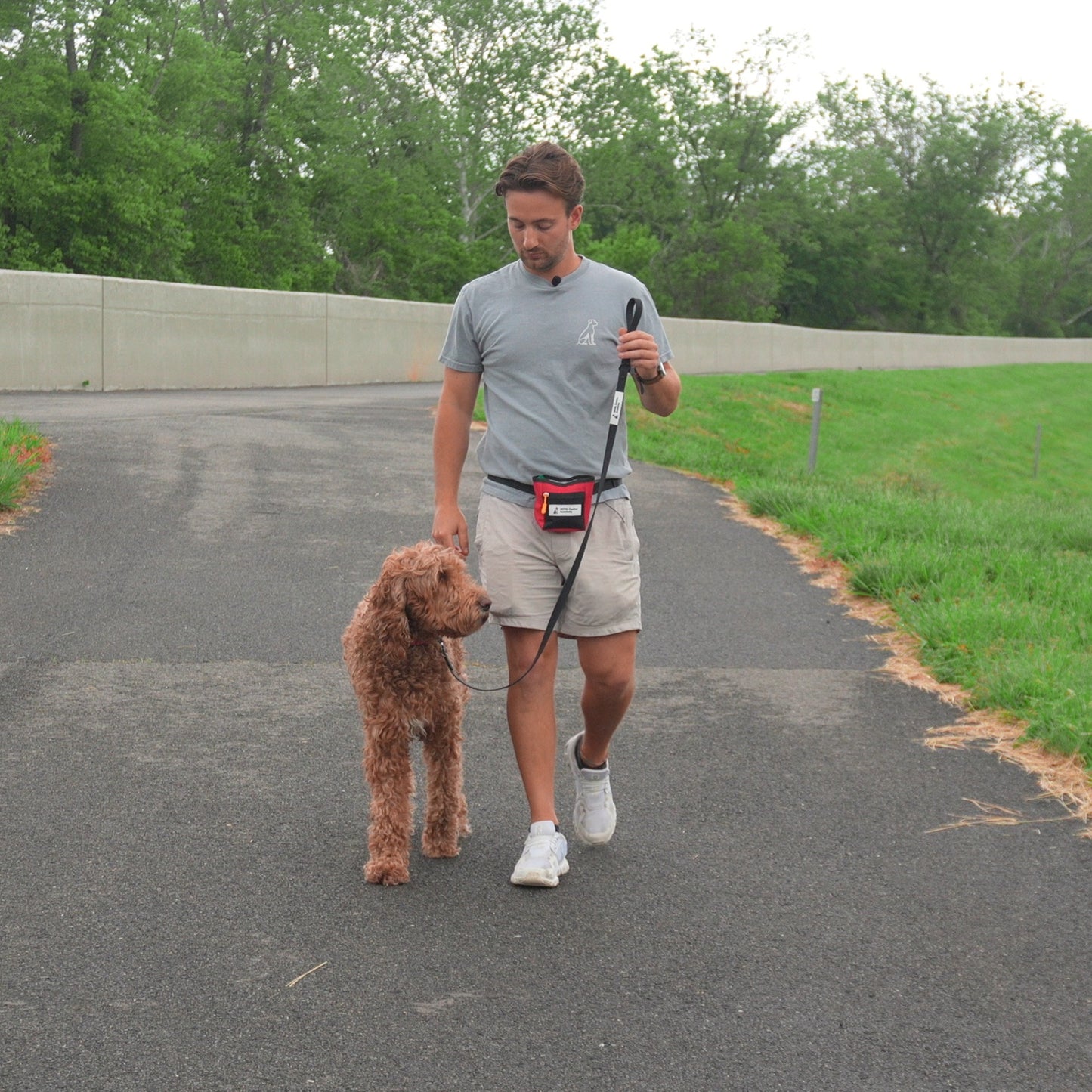 NCA Biothane Leash