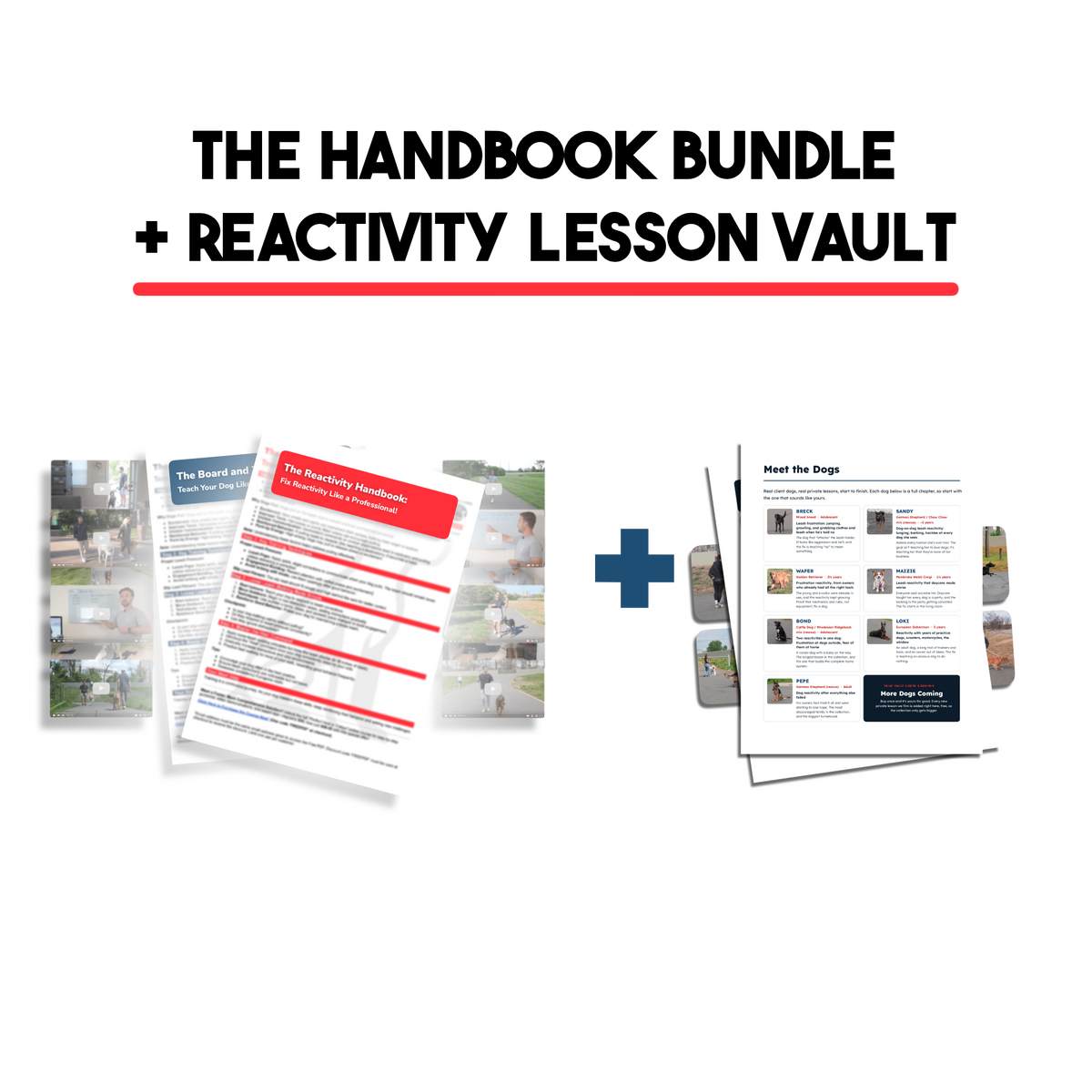 The Handbook Bundle (Board & Train + Reactivity)