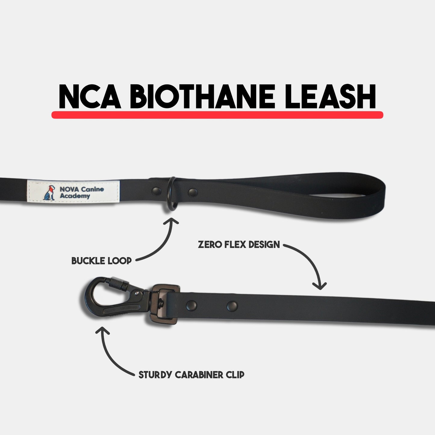 NCA Biothane Leash