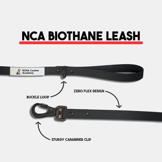 NCA Biothane Leash