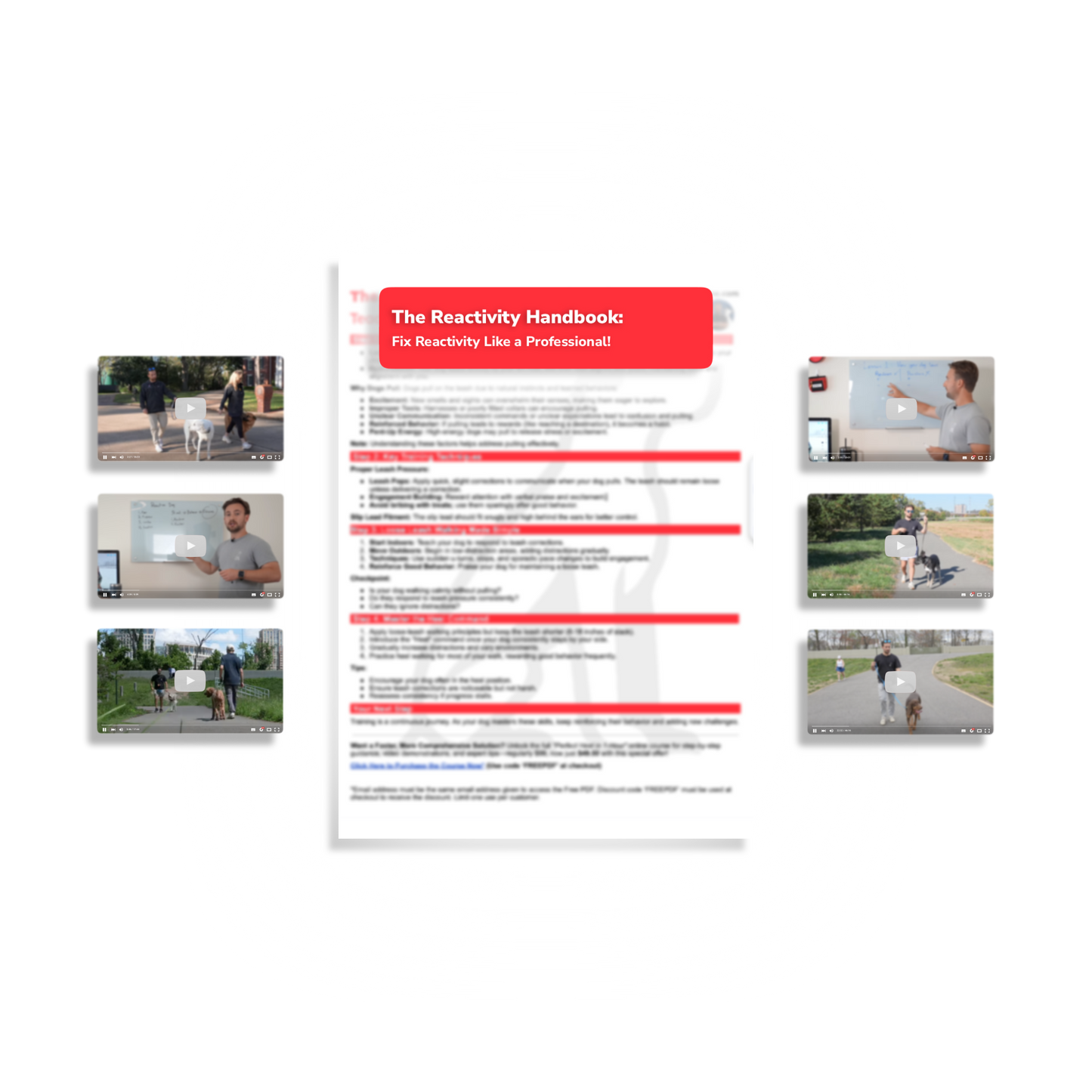 The Reactivity Handbook