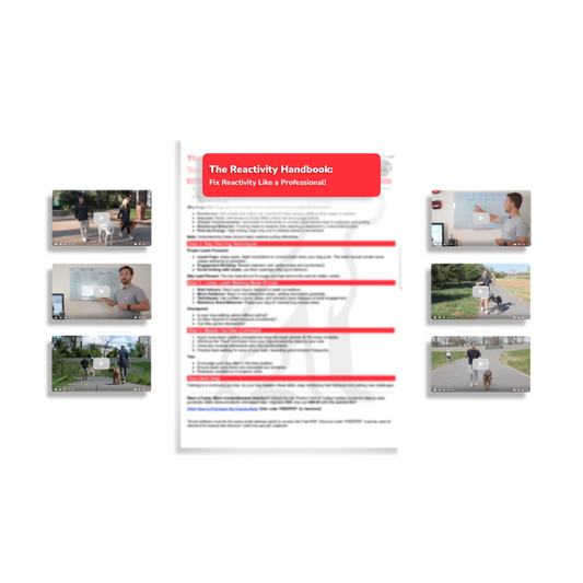 The Reactivity Handbook