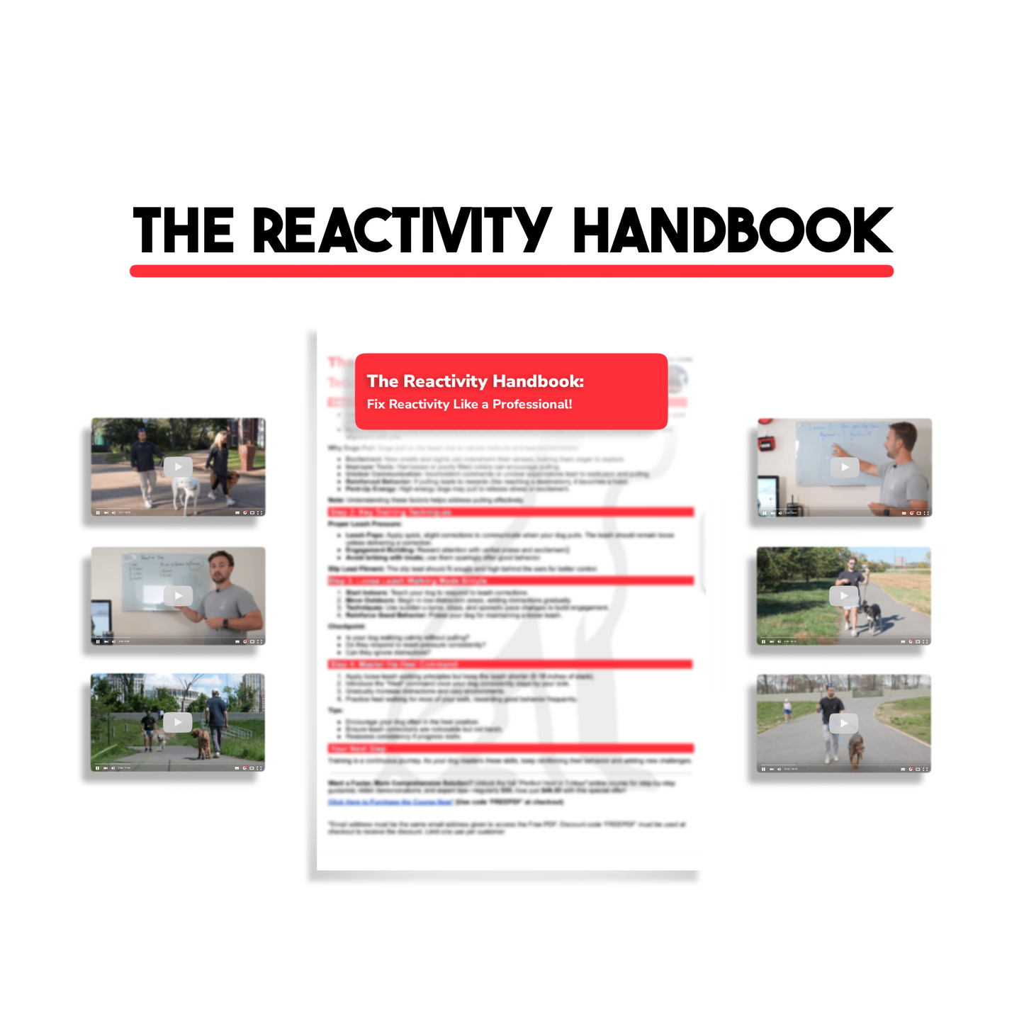 The Reactivity Handbook