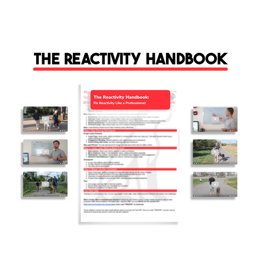 The Reactivity Handbook