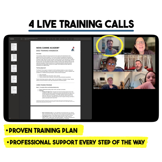 (December) The 4 Week NCA Masterclass & Community