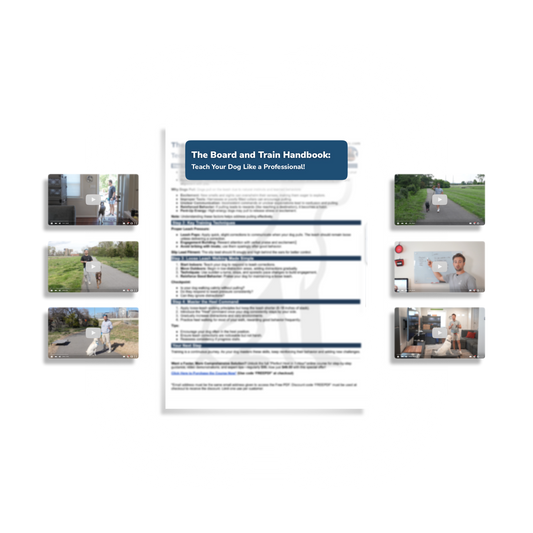 The Board & Train Handbook