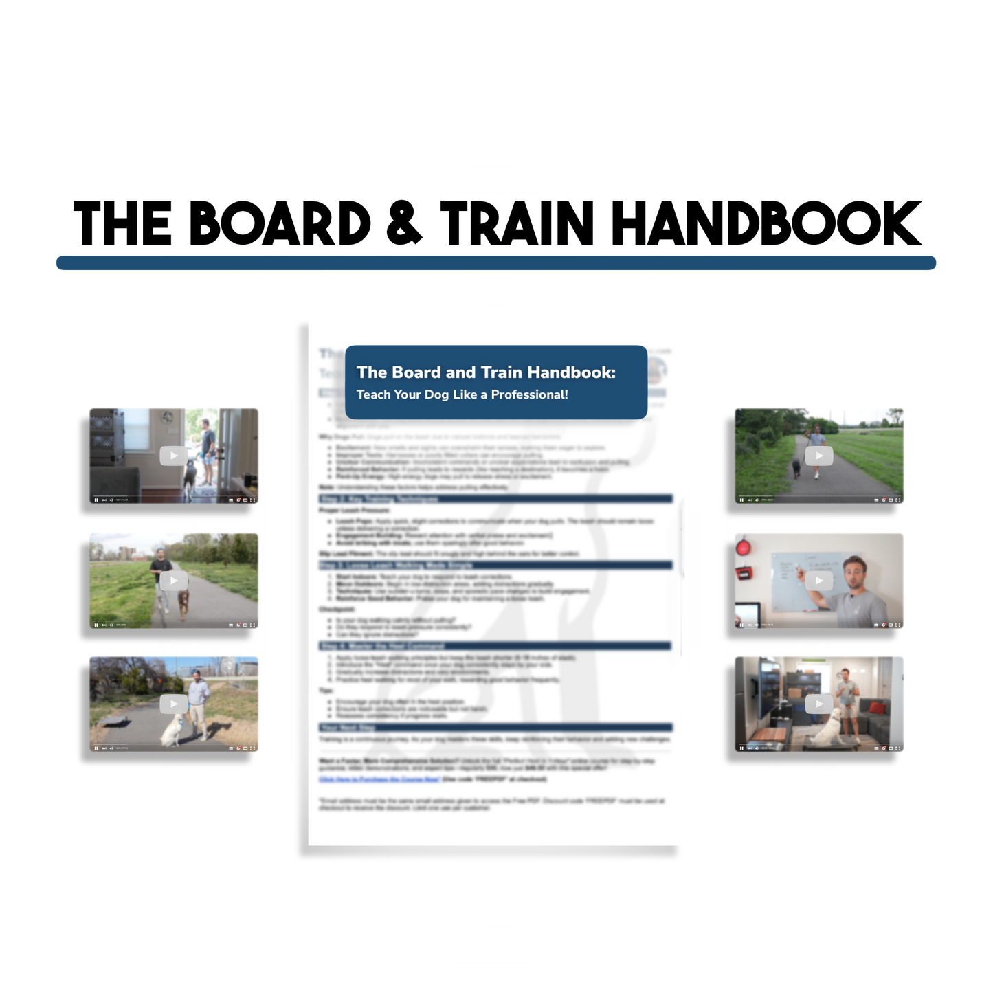 Handbook Bundle (Board & Train + Reactivity)