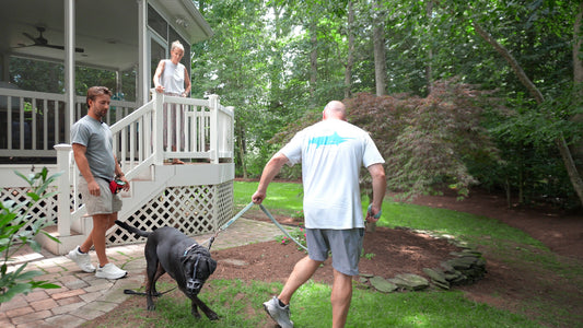 aggressive dog in training in northern virginia