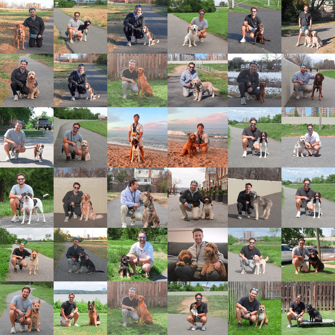dog training in northern virginia