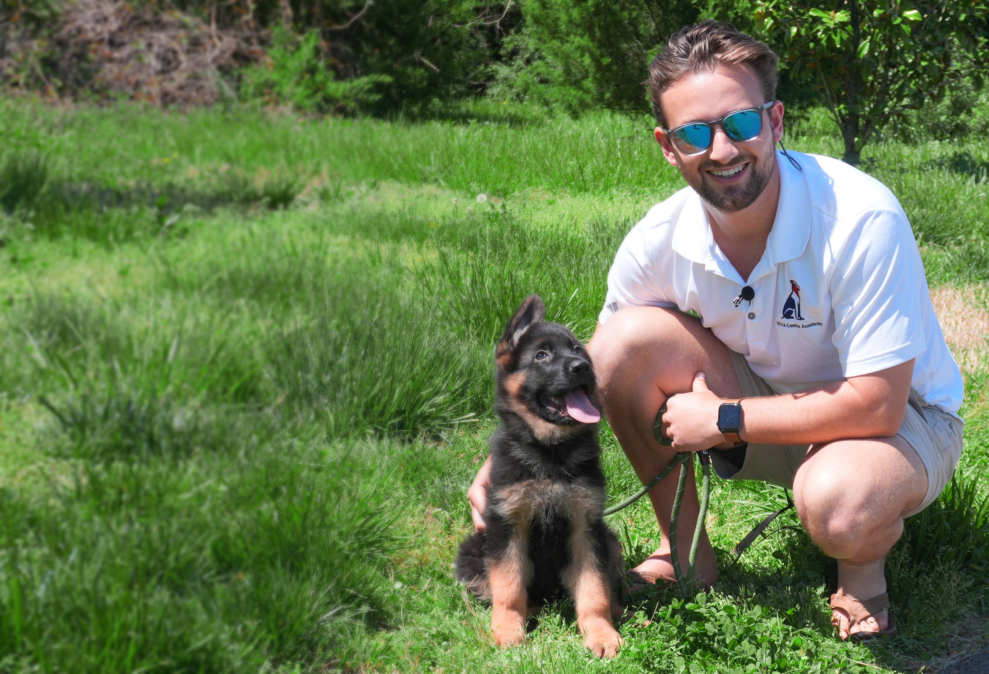 Dog training for puppies in northern virginia