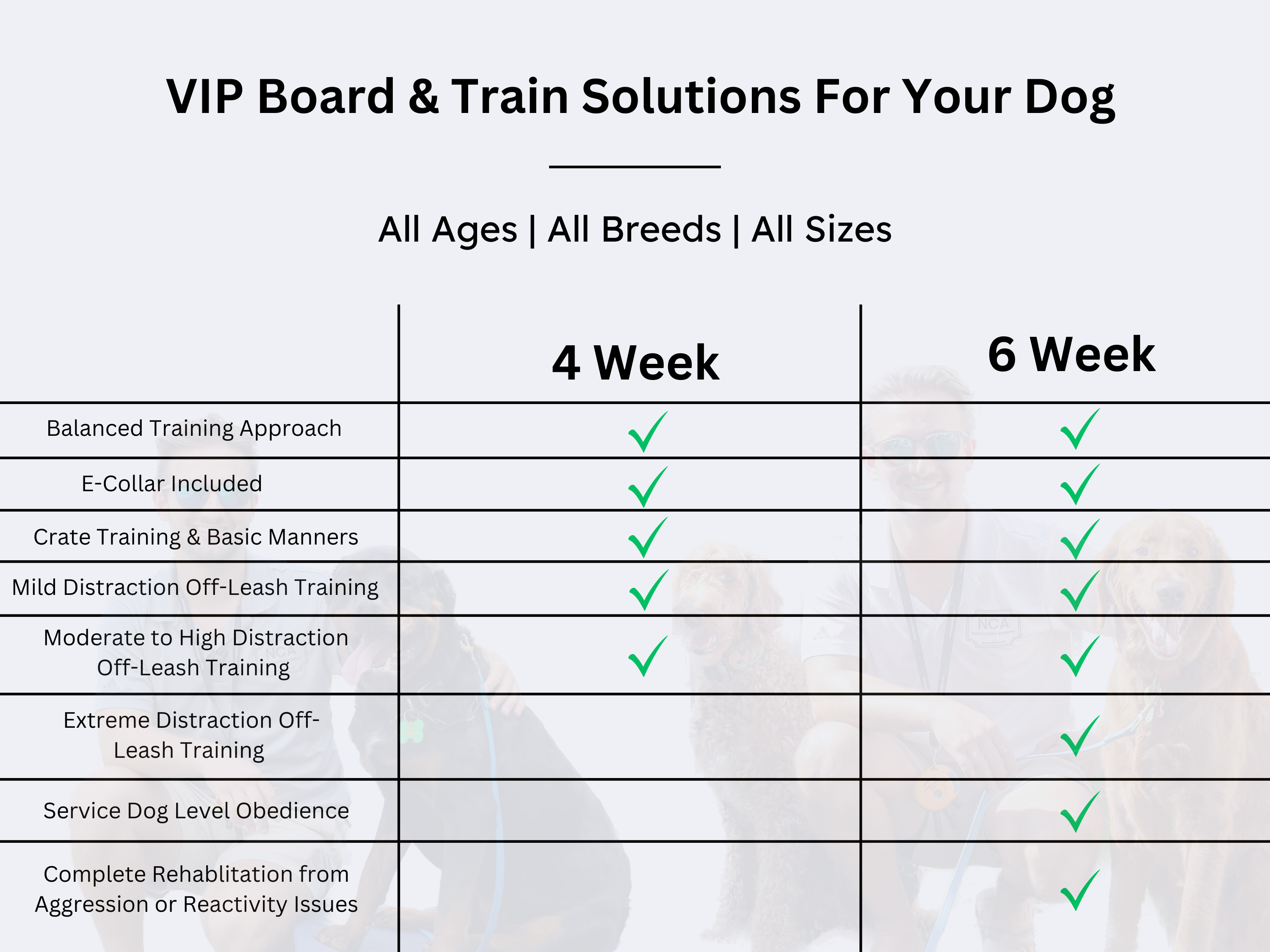 4 and 6 week board and train program results