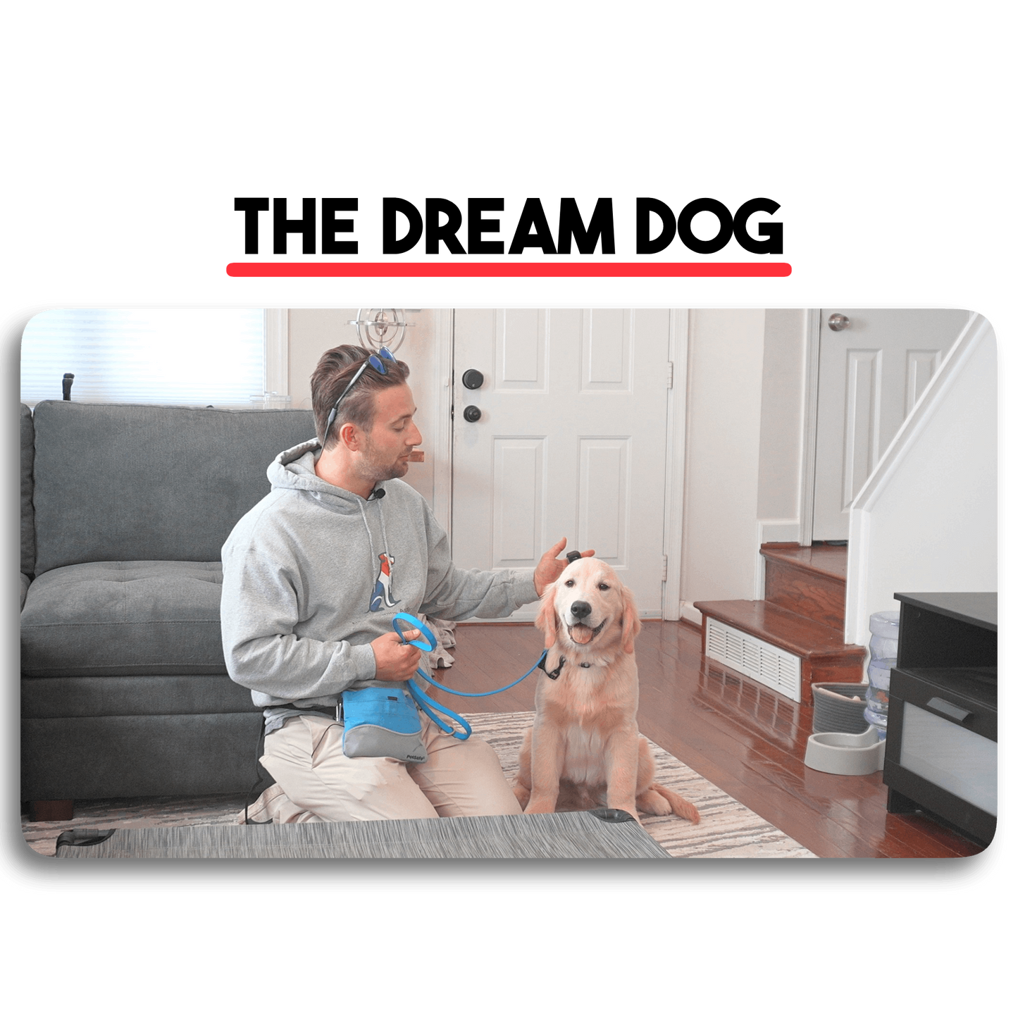 The Dream Dog Program