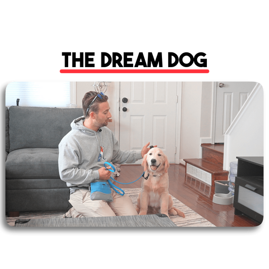 The Dream Dog Program