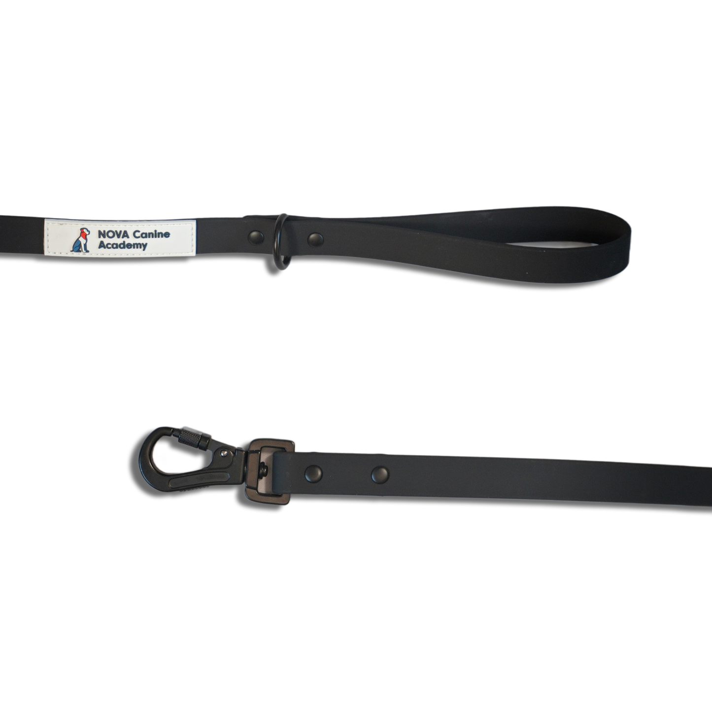 NCA Biothane Leash