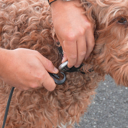 NCA Biothane Leash