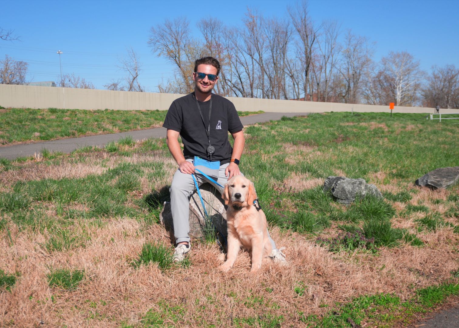 Top 4 week board and train program in Northern virginia, NOVA Canine academy
