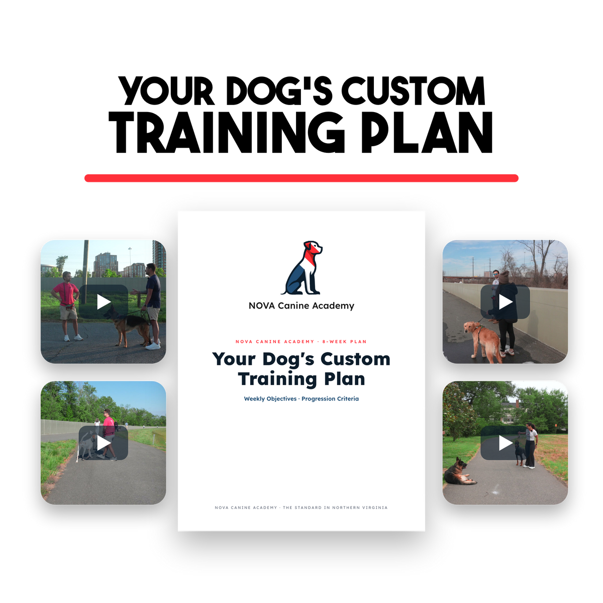 The Handbook Bundle (Board & Train + Reactivity) - Discounted For Video