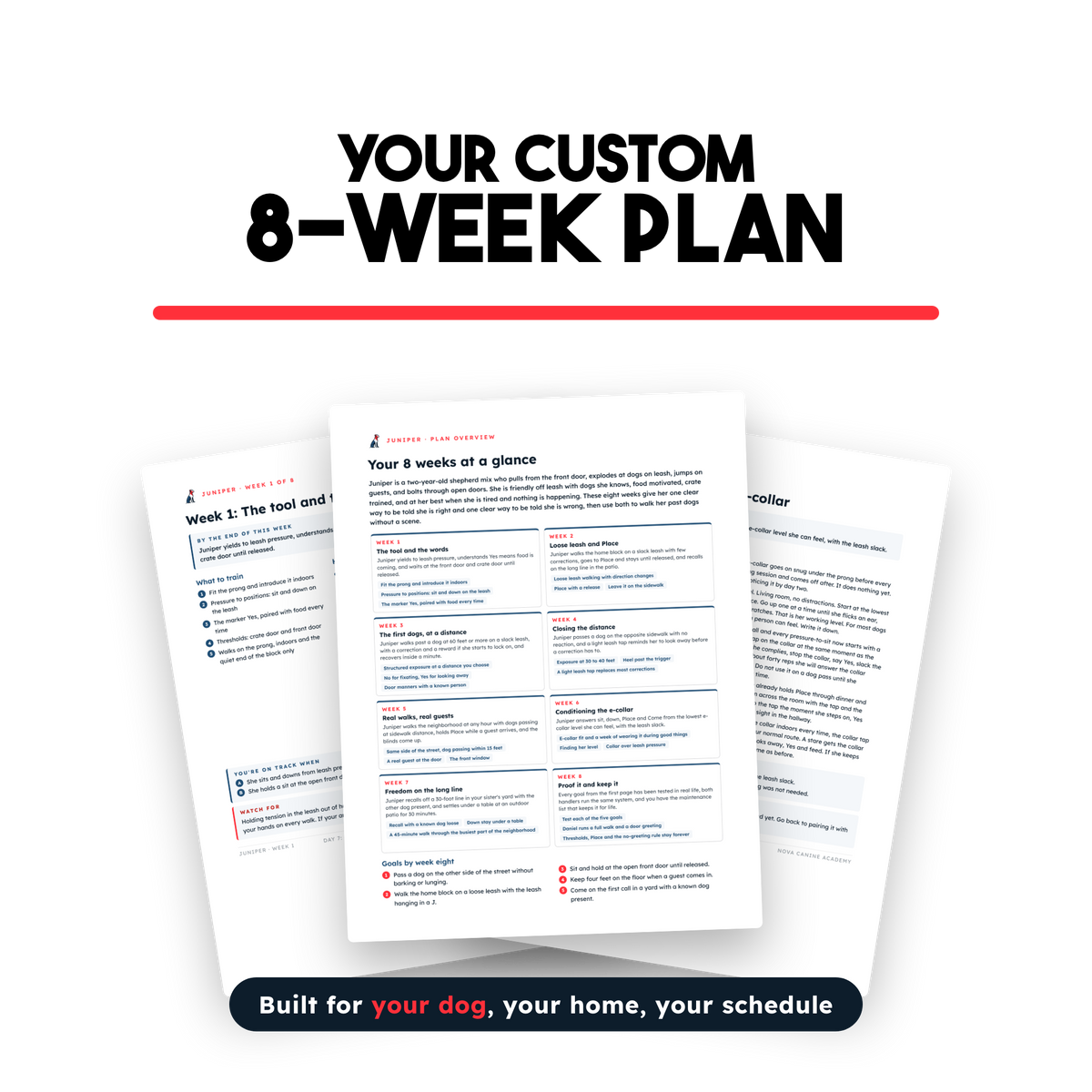 The Handbook Bundle (Board & Train + Reactivity) - Discounted For Video