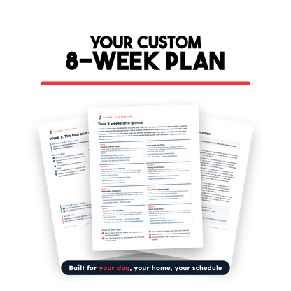 The Handbook Bundle (Board & Train + Reactivity) - Discounted For Video