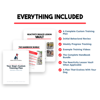 The Handbook Bundle (Board & Train + Reactivity) - Discounted For Video