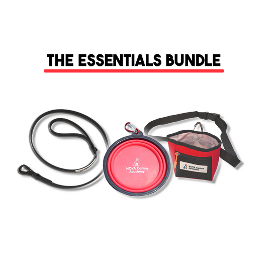 The Essentials Bundle (With Biothane)