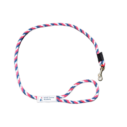 NCA Standard Leash