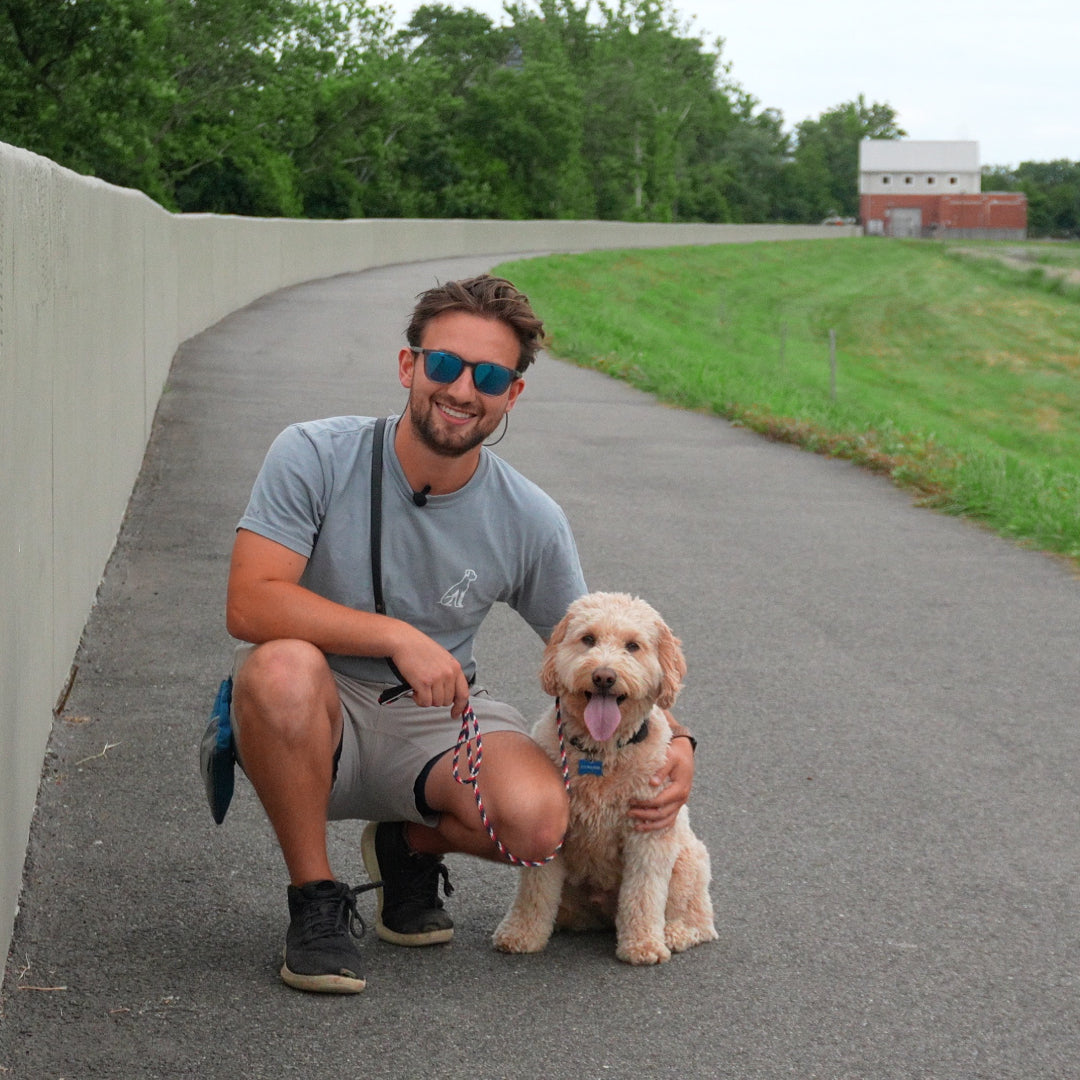 board and train dog in northern virginia