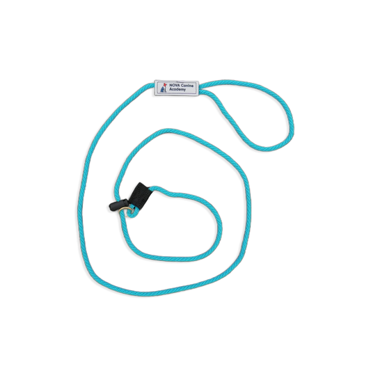 LIMITED EDITION: NCA Slip Leads