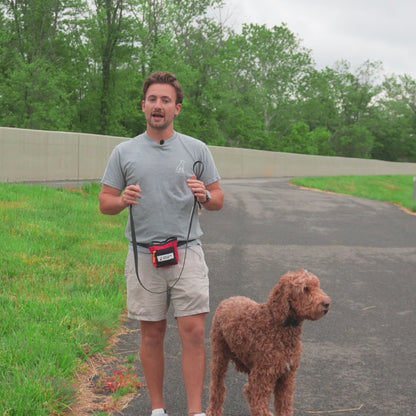 NCA Biothane Leash