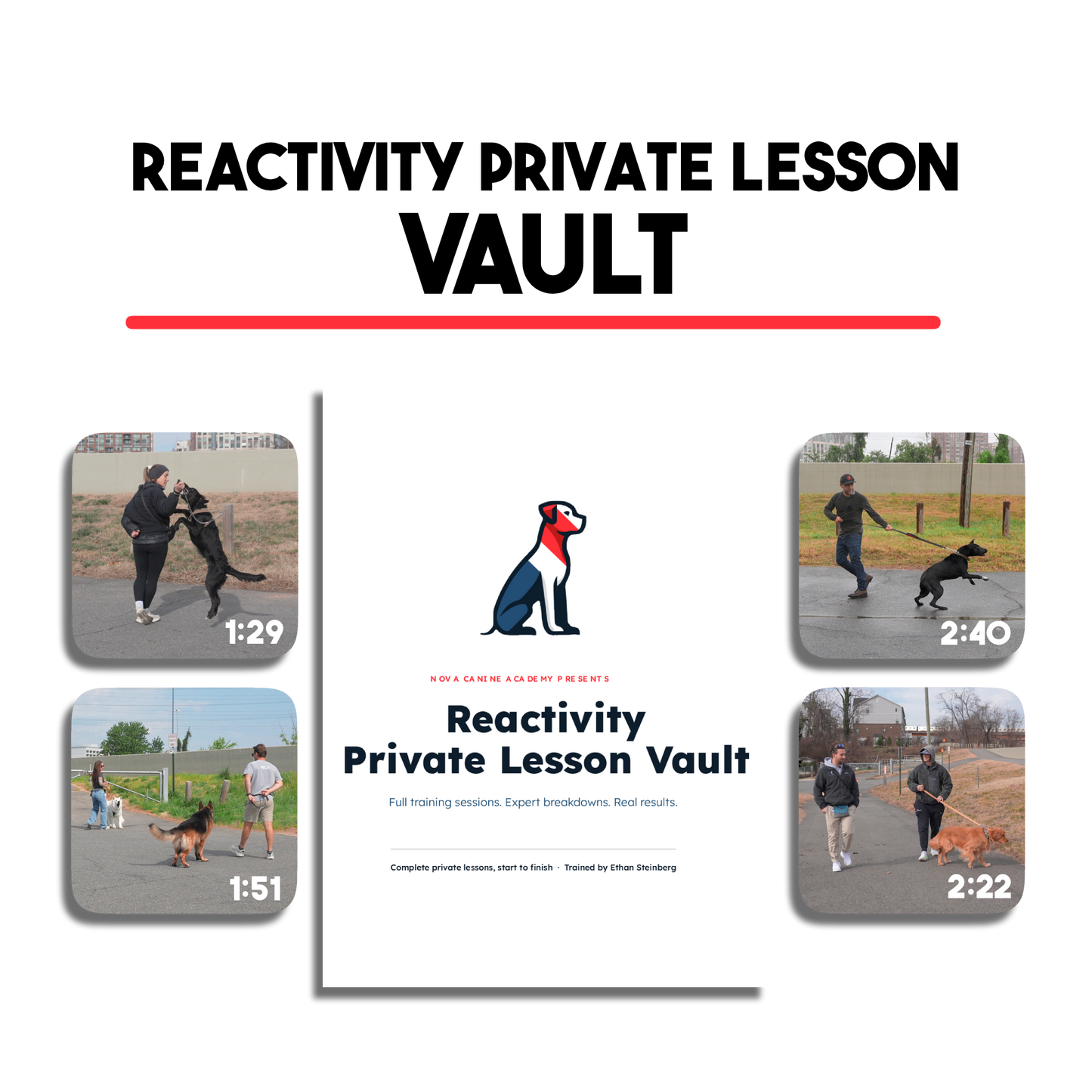Reactivity Private Lesson Vault