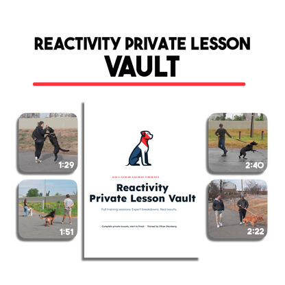 Reactivity Private Lesson Vault