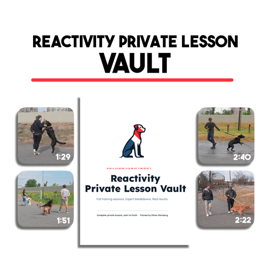 Reactivity Private Lesson Vault