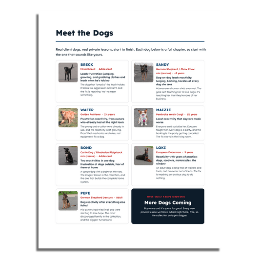 Reactivity Private Lesson Vault