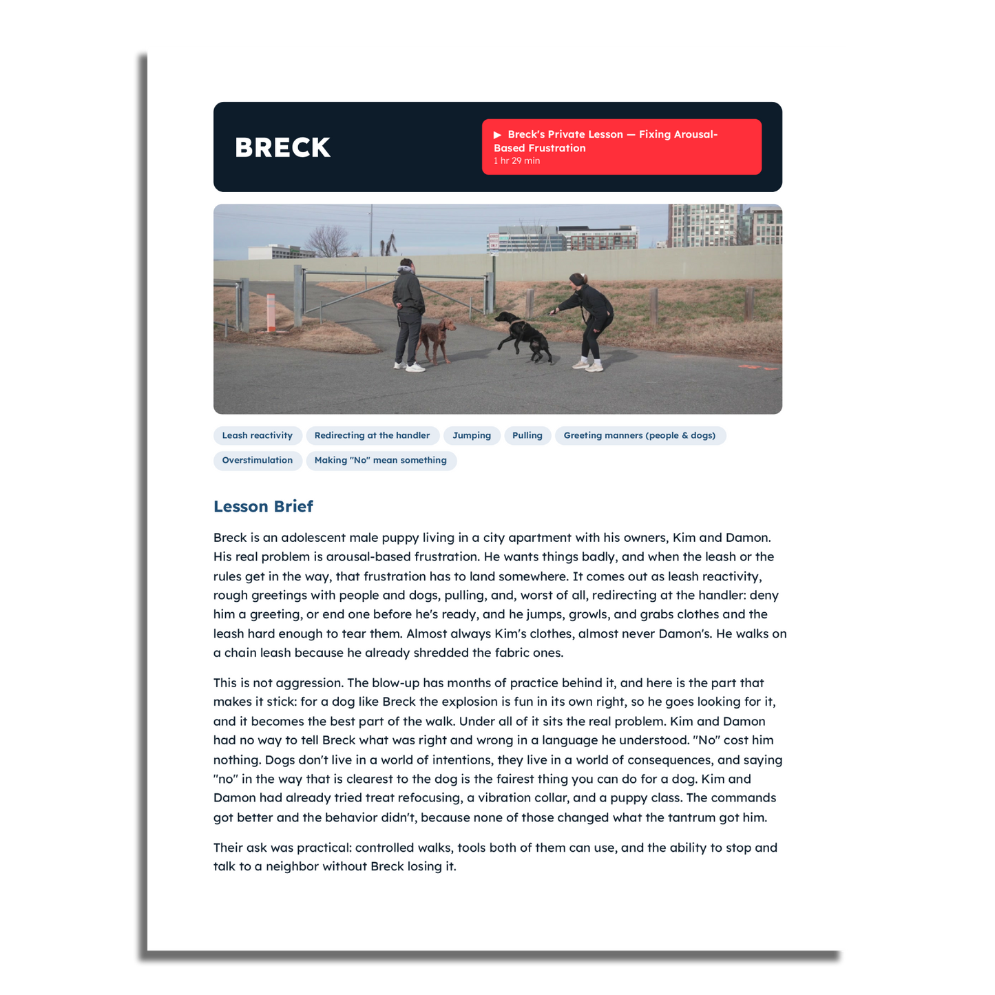 Reactivity Private Lesson Vault