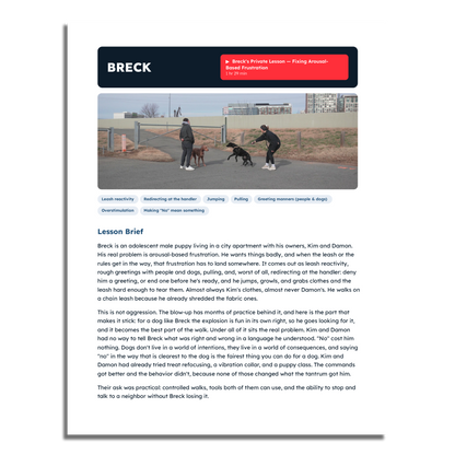 Reactivity Private Lesson Vault