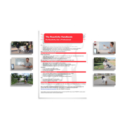 The Reactivity Handbook