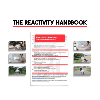 The Reactivity Handbook