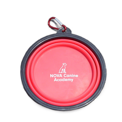 NCA Collapsible Dog Bowl