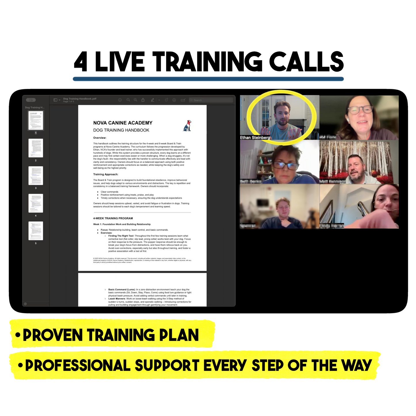 The 4 Week Reactivity Reset