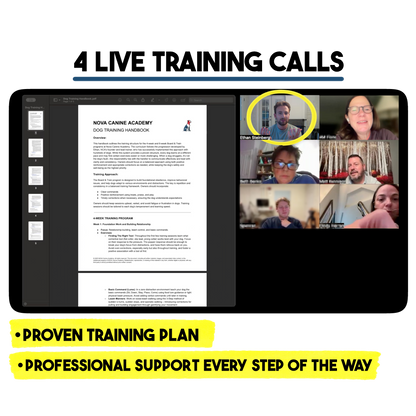 The 4 Week Reactivity Reset