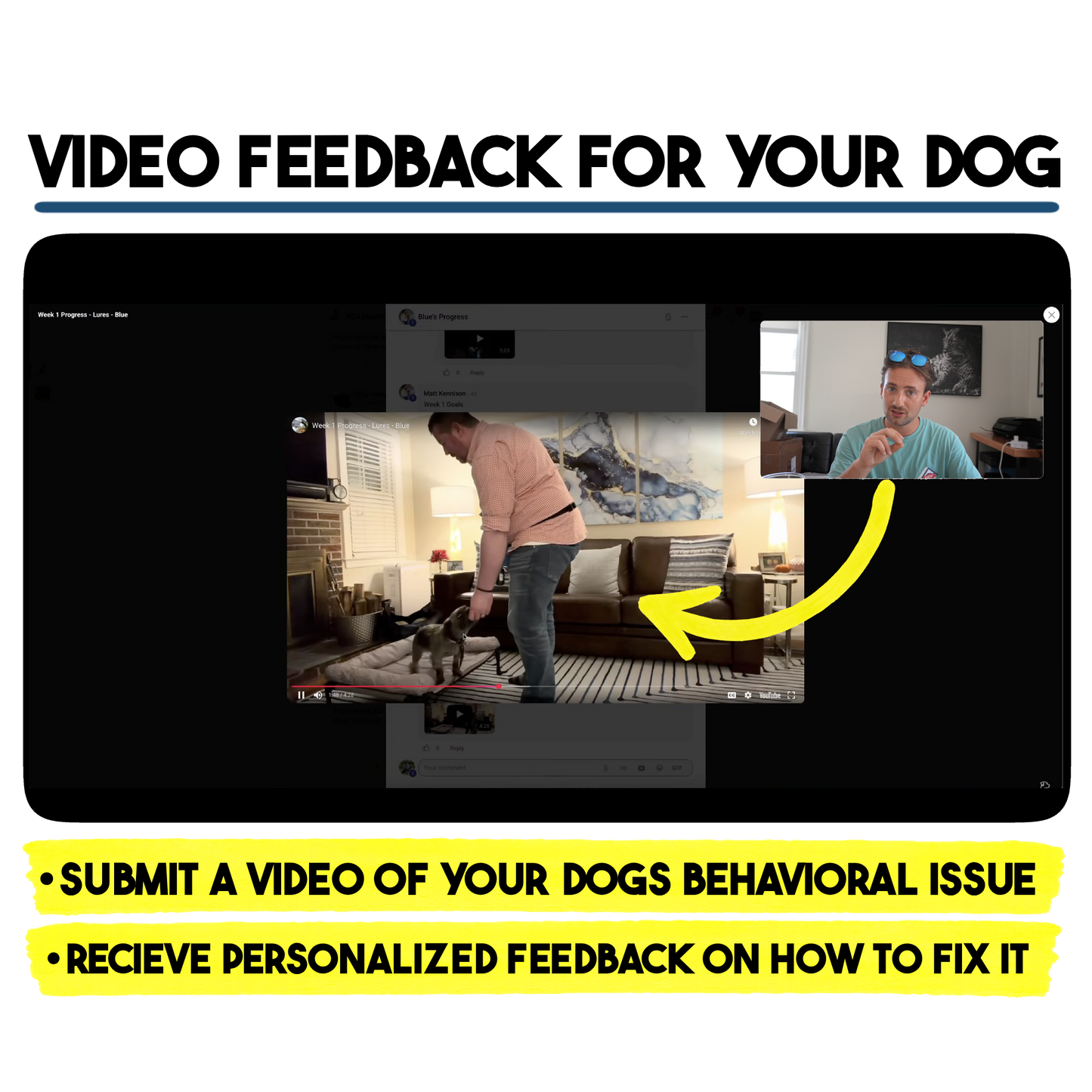 The 4 Week Reactivity Reset