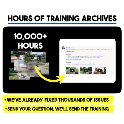 The 4 Week Reactivity Reset