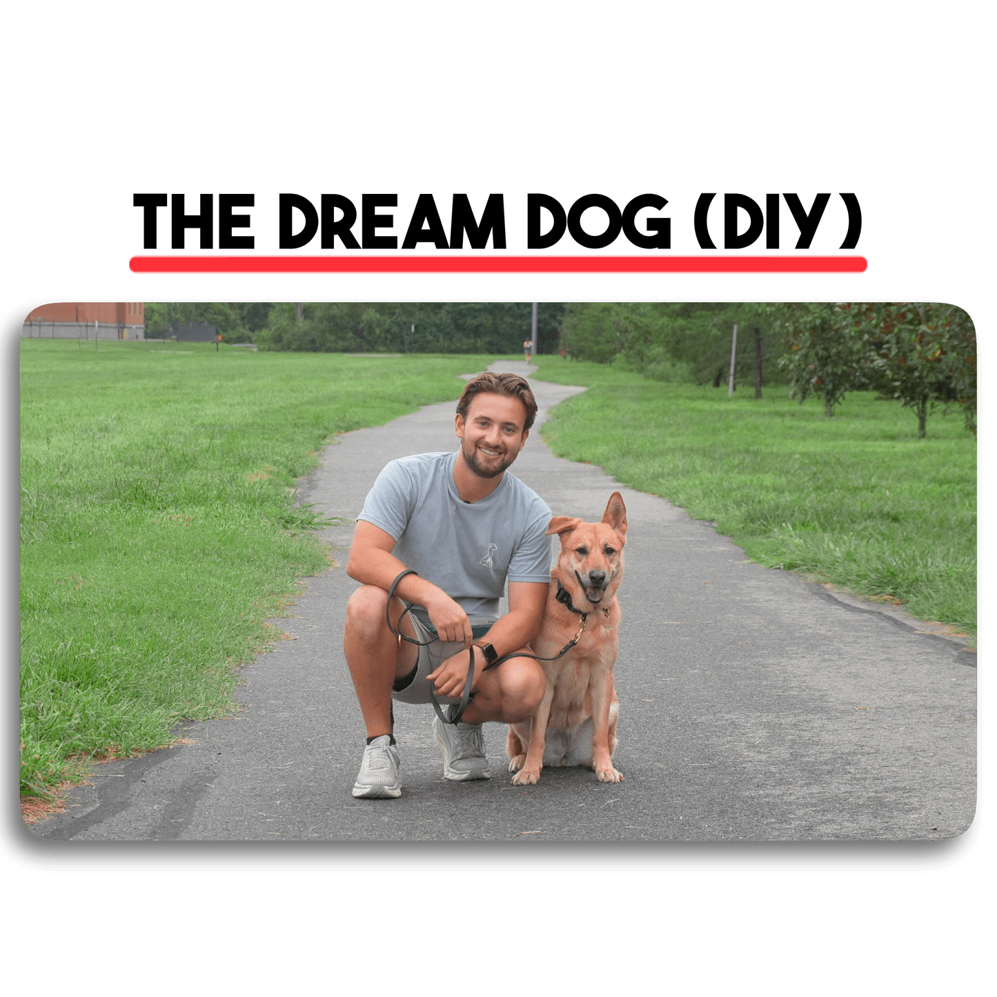 The Dream Dog (DIY Version)