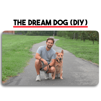 The Dream Dog (DIY Version)