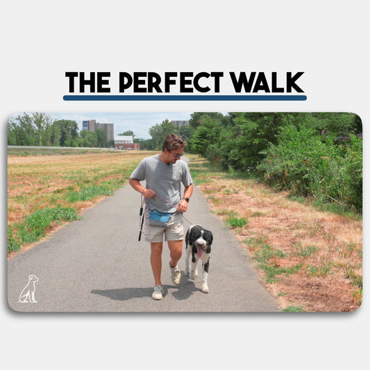 The Perfect Walk