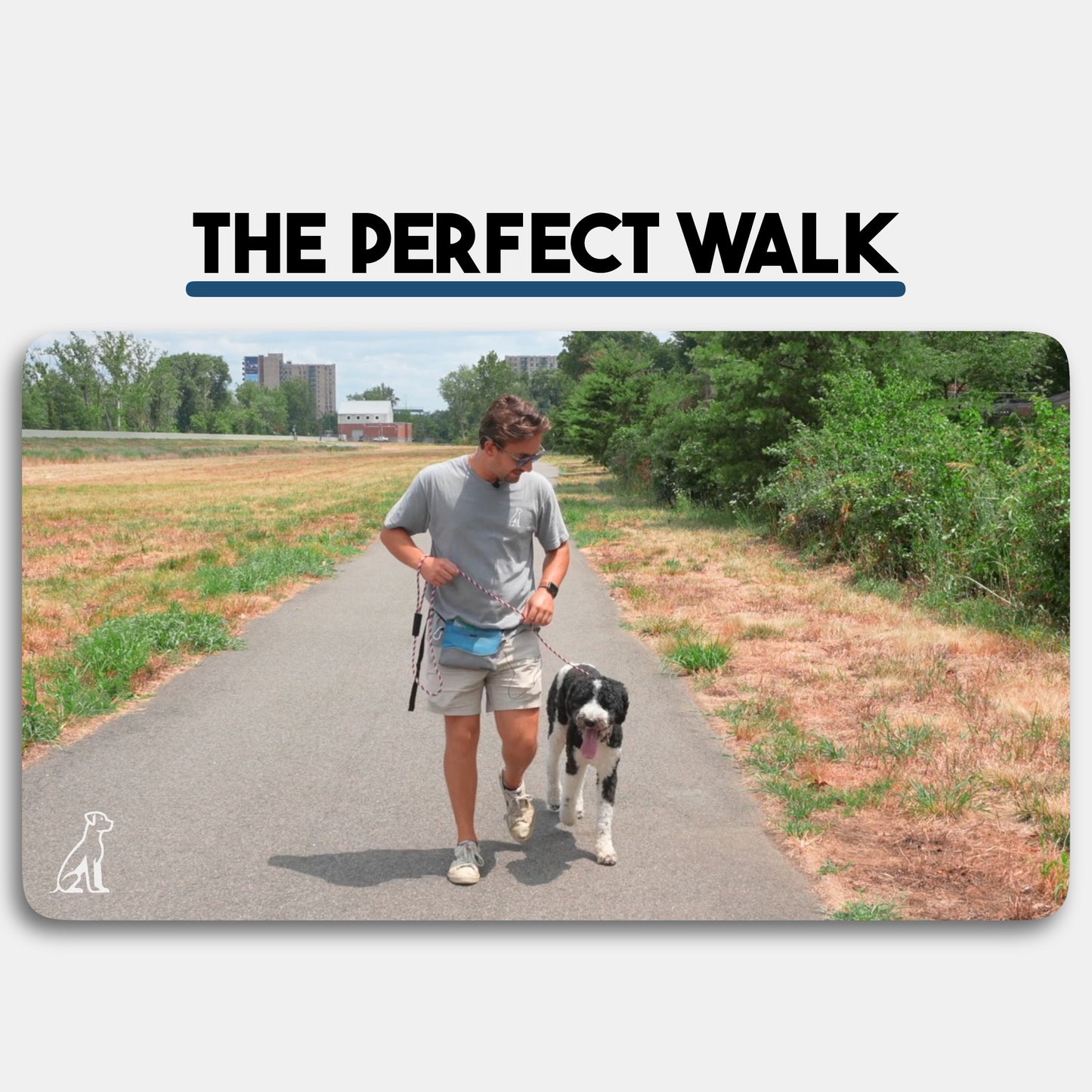 The Perfect Walk