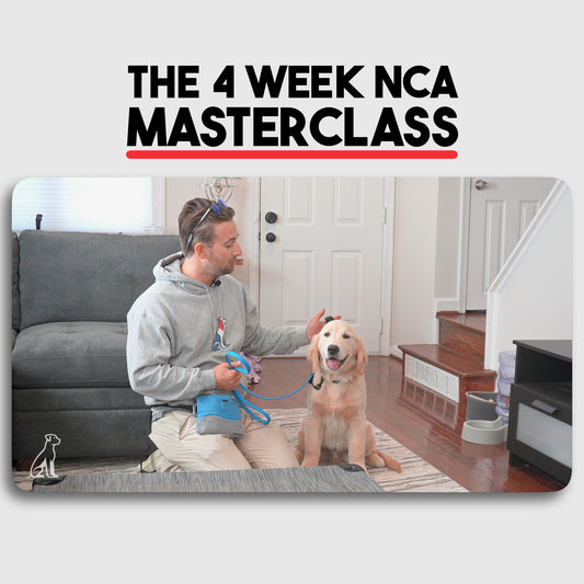 The 4 Week NCA Masterclass